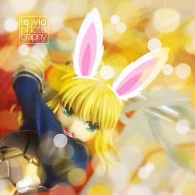 Saber-Bunny