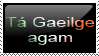 I speak Irish