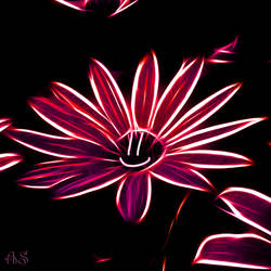 Happy Flower