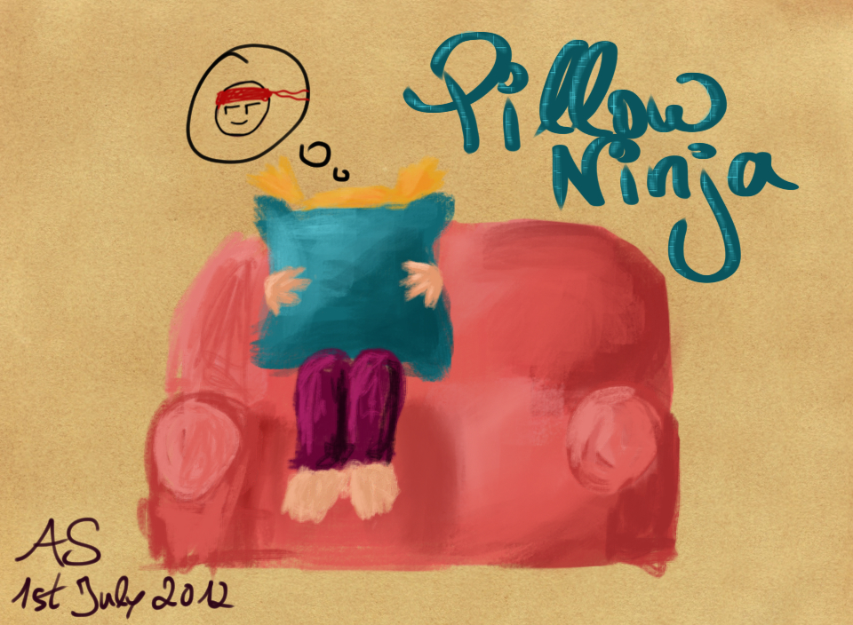 Pillow Ninja