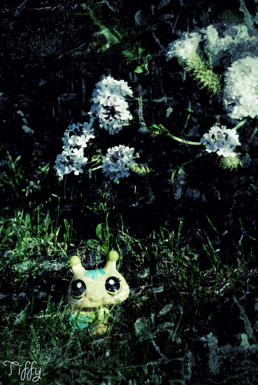 ~ Tiffy ~ loves Nature!