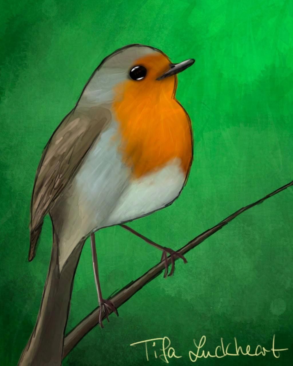 Robin