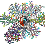 The Magic Tree of AuvifiaVerse