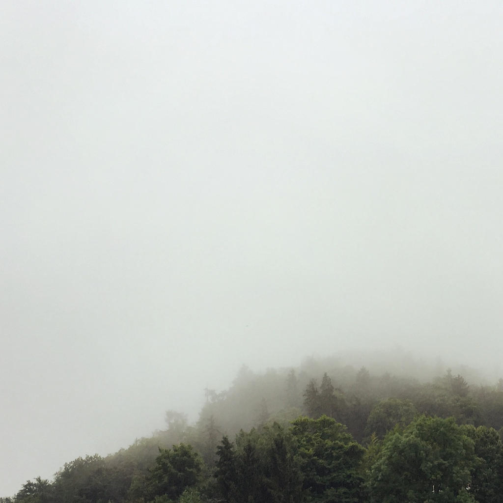 Kleiner Burgberg im Nebel