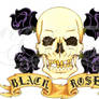 Black roses -coloured-