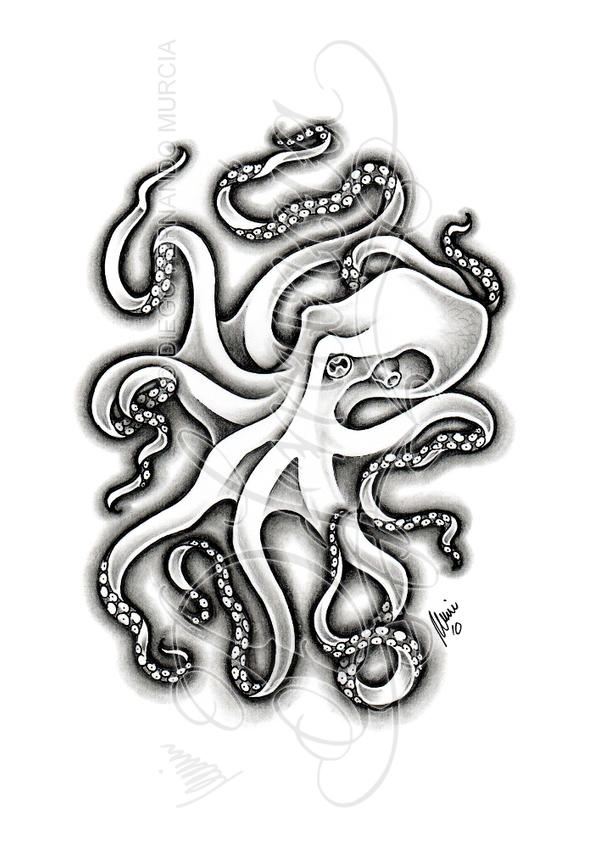 Octopus