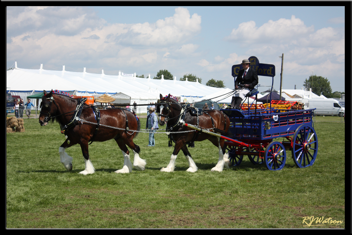 Waldburg Shires 4