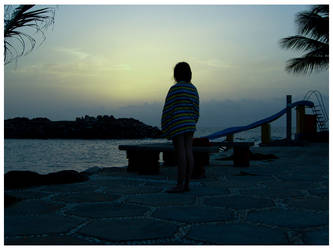 Dusk at the beach