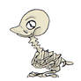 baby chicken skeleton