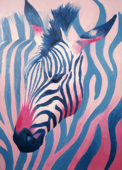 Zebra