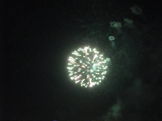 Fireworks 2011 45