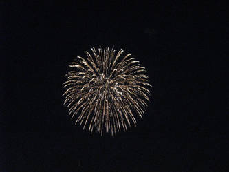 Fireworks 2011 48