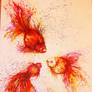 goldfish petti