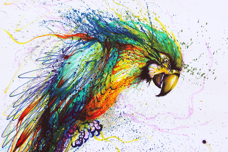 The Color Parrot