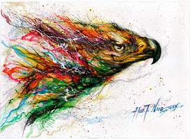 Color Eagle