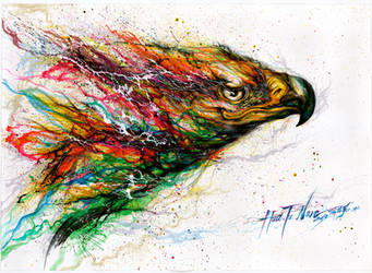 Color Eagle