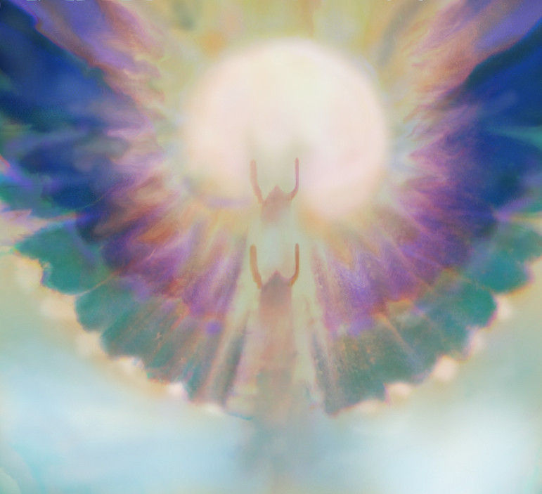 Pearlescent by kdodk on DeviantArt