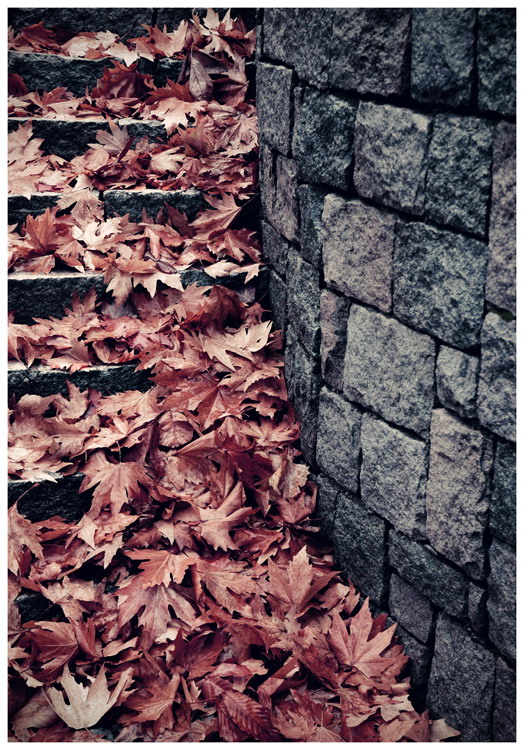 Bricks Stairs and Leaves