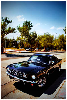 65 Fastback