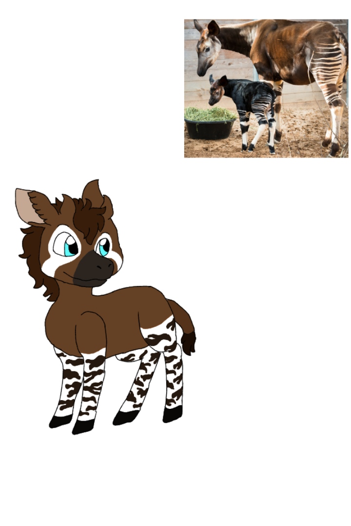 Mlp Okapi