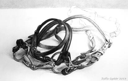 Bridle Study