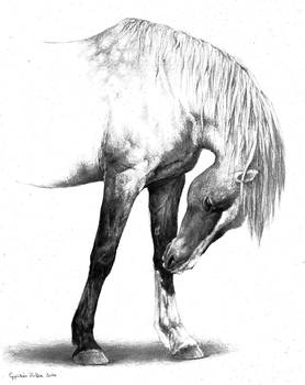 Half-horse