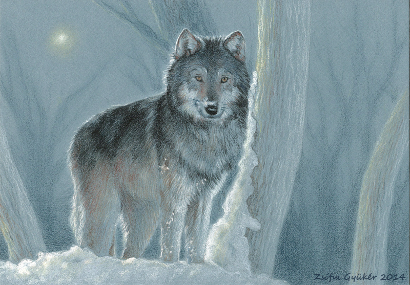 Night Wolf