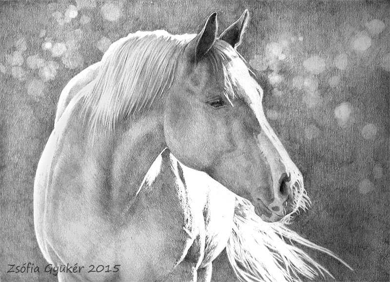 Mare portrait commission