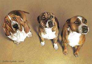 Three Dogs commission