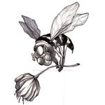 Dragger Bee