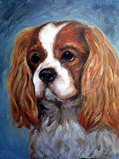 Cavalier King Charles Spaniel by PaolaCamberti