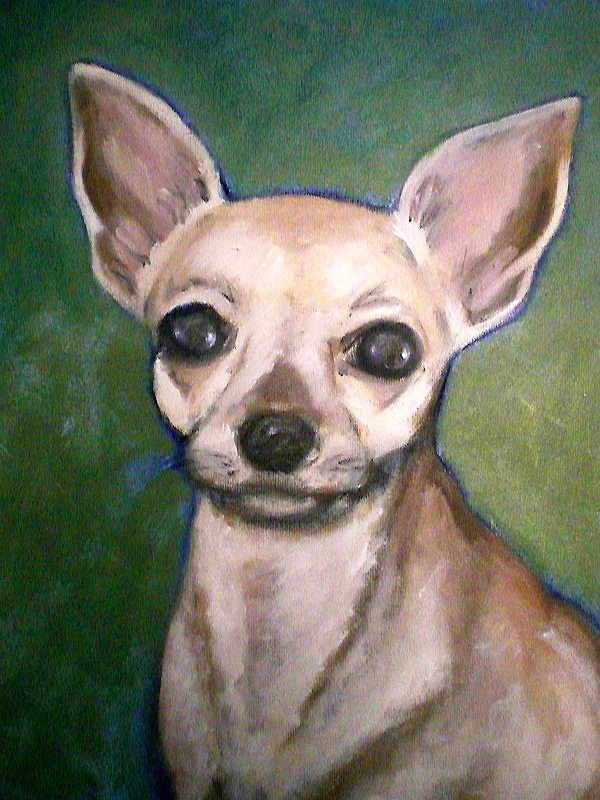 Chihuahua