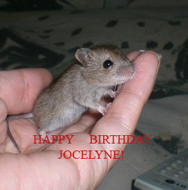 Happy birthday Jocelyne