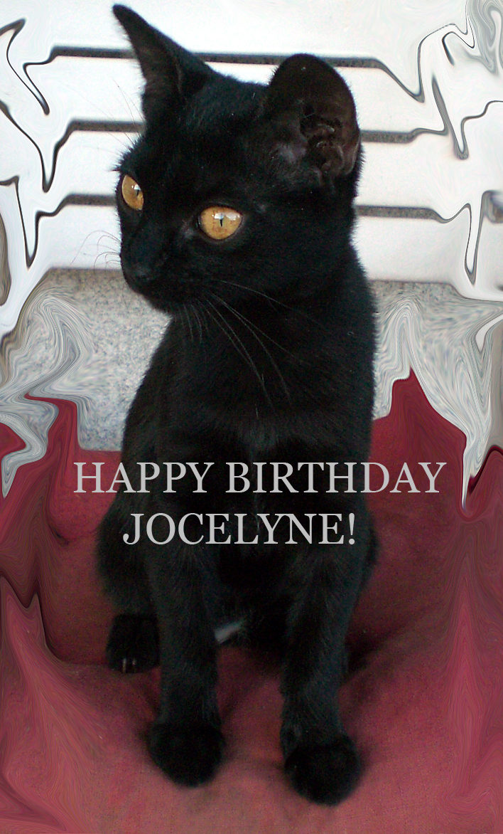 Happy birthday Jocelyne!