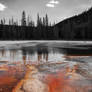 Yellowstone in Black