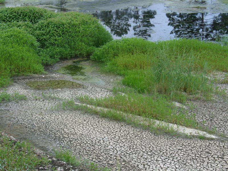 Don't leave me dry by philostrate on DeviantArt