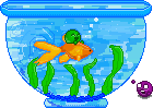 Fishy by I-is-smart