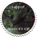 Support my cat