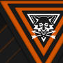 Division 2 Survivalist