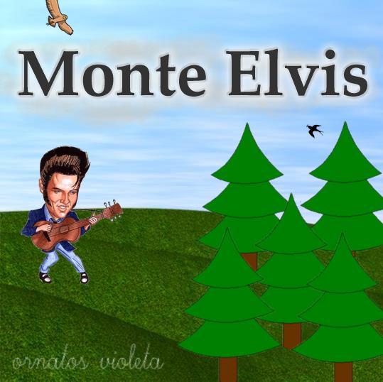 Concurso - Monte Elvis - 003