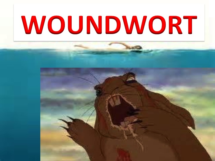 Woundwort as Jaws the Shark meme by AnimaeRockz