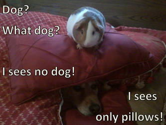 Only Pillows