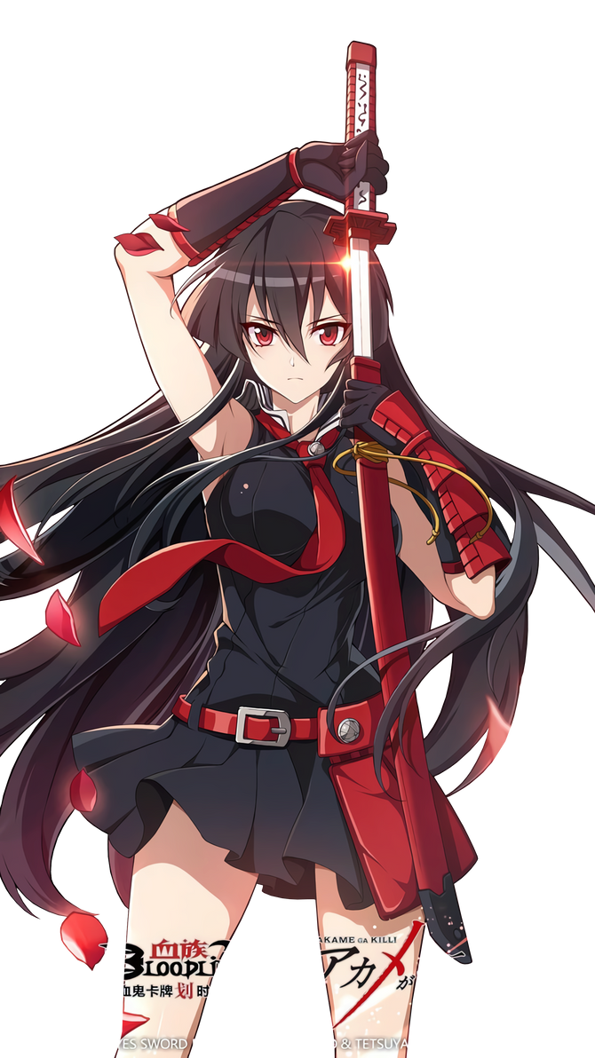 Akame (Render #1) by WTFBOOOMSH on DeviantArt