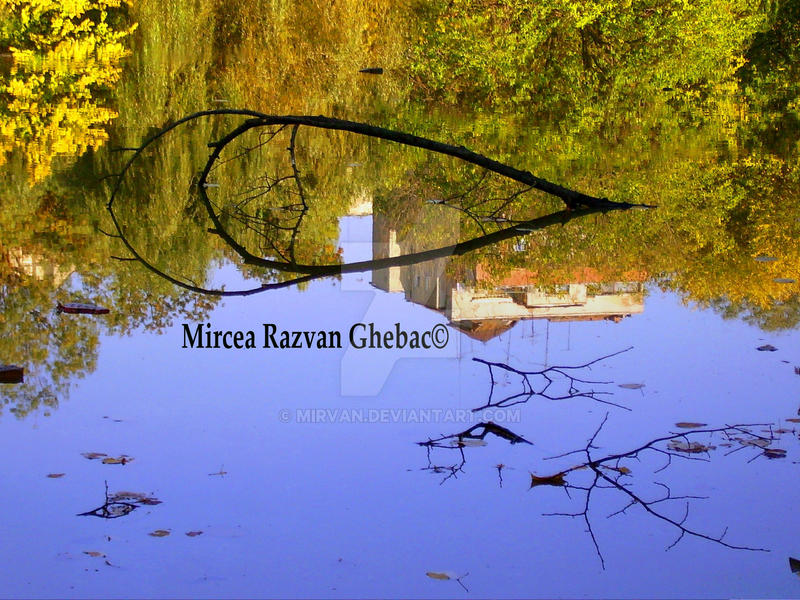 change by mirvan on DeviantArt