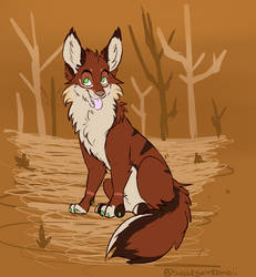 Akiro Autumn Fox