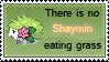 There is no Shaymin by GhettoSketchah