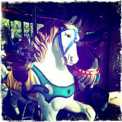 Carousel Horse