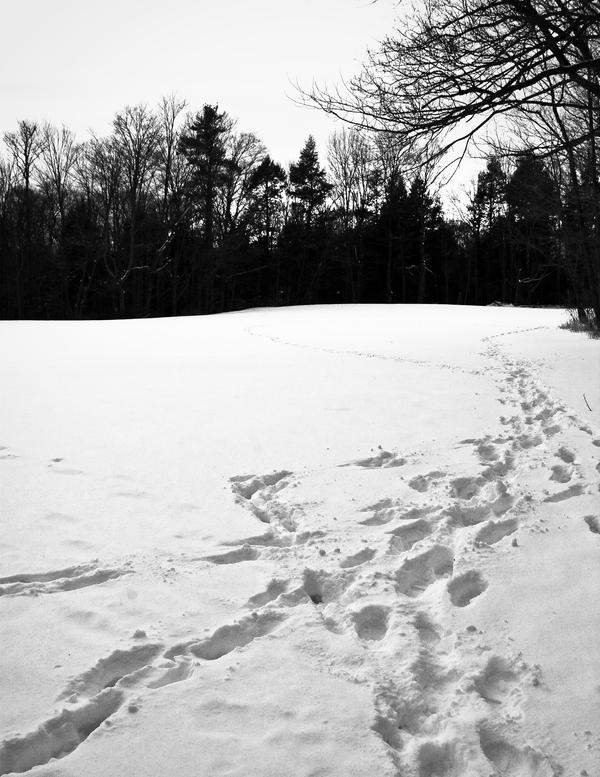 Path Space by luxdecrescis on DeviantArt