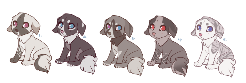 Puppy Adoptables (AUCTION) CLOSED