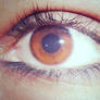 My Eye.